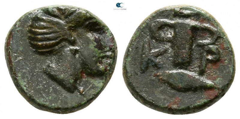 Kings of Thrace. Kypsela. Kersebleptes 359-340 BC. 
Bronze Æ

9mm., 1,59g.
...