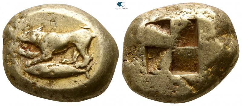 Mysia. Kyzikos 500-450 BC. 
Stater EL

18mm., 15,96g.

Dog standing left, f...
