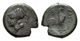 Campania, Cales Bronze circa 265-240, Æ 19.5 mm, 5.53 g. Helmeted head of Minerva left Rev. CALENO Cock standing right; in field l., star. Sambon 916....