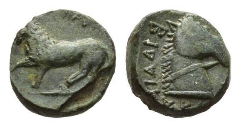 Apulia, Teate Bronze circa 325-275, Æ 16.5mm, 6.64 g.TIATI (retrograde) Lion wal...
