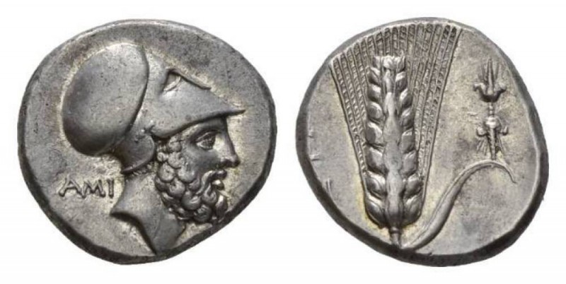 Lucania, Metapontum Nomos circa 340-330, AR 22mm, 7.84 g. Head of Leucippus righ...