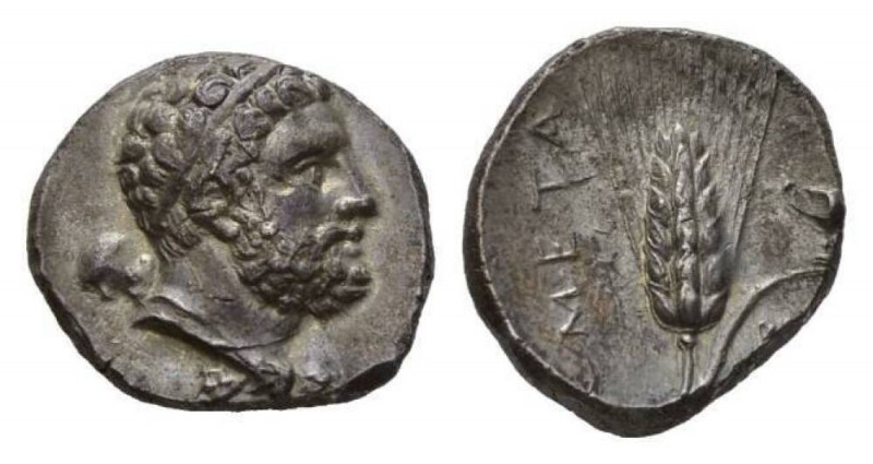 Lucania, Metapontum Nomos circa 290-270, AR 22mm, 7.90 g. Bearded head of Heracl...