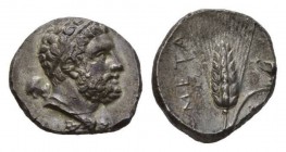 Lucania, Metapontum Nomos circa 290-270, AR 22mm, 7.90 g. Bearded head of Heracles Soter right, hair bound with ribbon; lion skin tied around neck and...