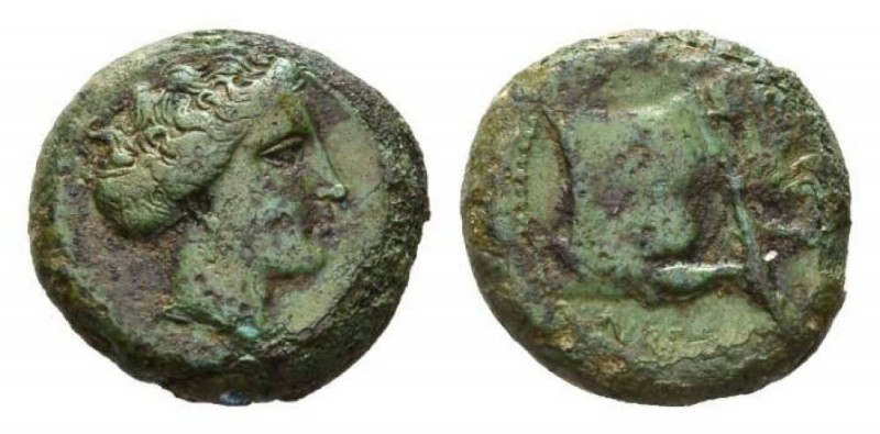 Sicily, Abacaenum Hemilitra circa 343-339, Æ 20.5mm, 8.02 g. Female head right R...