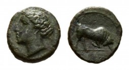 Sicily, Aluntium, Bronze circa late 4th century Æ 12mm, 1.31 g. Head of nynph left. Rev. Bull butting right, in exergue, A. Campana 10 var. Calciati 5...