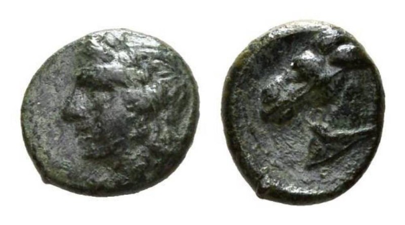 Sicily, Tyndaris Bronze circa 276-253, Æ 13.5mm, 2.01 g. Laureate head of Apollo...