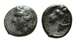 Sicily, Tyndaris Bronze circa 276-253, Æ 13.5mm, 2.01 g. Laureate head of Apollo left Rev. Head of horse left. Calciati 3. SNG München 1580.

Rare. ...