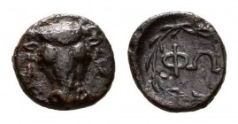 Phocis, Bronze, circa 370's-360's Æ 13mm, 1.87 g. Facing bull's head. Rev. ΦΩ in wreath. Laffaille 348. BCD Lokris-Phocis 274. 

 Brown tine and ver...