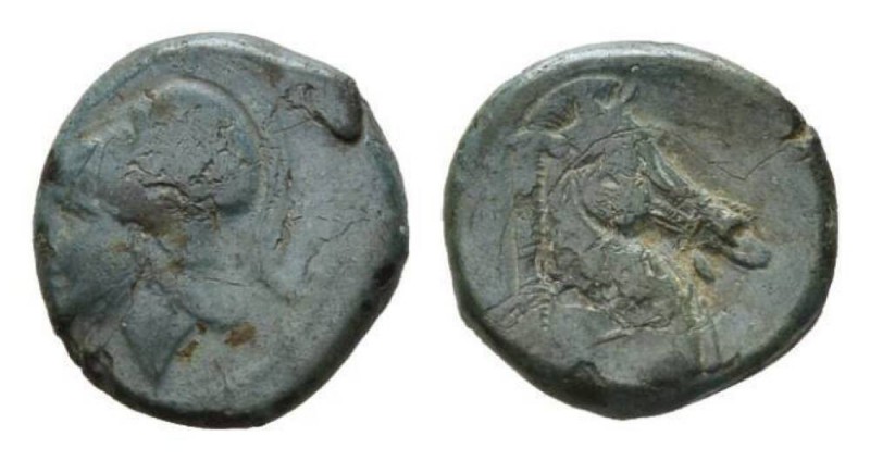 Half unit, Neapolis after 276, Æ 17mm., 4.08g. Helmeted head of Minerva left. Re...