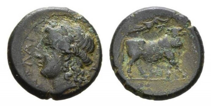 Campania, Nola Bronze circa 300-250, Æ 21mm., 7.00g. Laureate head of Apollo l. ...