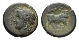 Campania, Nola Bronze circa 300-250, Æ 21mm., 7.00g. Laureate head of Apollo l. Rev. Man-headed bull advancing r., crowned by Nike flying r. above. SN...