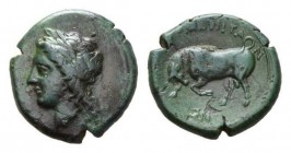 Sicily, Tauromenium Dilitron circa 344-336., Æ 20.5mm., 6.48g. APXAΓETAΣ Laureate head of Apollo left. Rev. TAYPOMENITAN Bull butting left; in exergue...