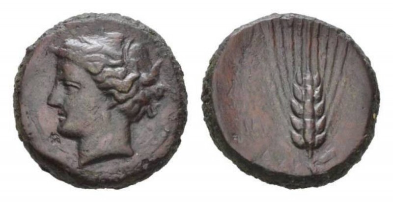 Lucania, Metapontum Obol circa 425-350, Æ 19.5mm., 10.03g. Wreathed head of Deme...