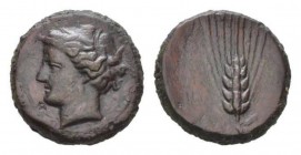 Lucania, Metapontum Obol circa 425-350, Æ 19.5mm., 10.03g. Wreathed head of Demeter left. Rev. Grain ear with leaf to right. Johnston, Essays Kraay-Mo...