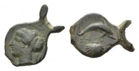 Sicily, Syracuse Hemilitra circa 400-375, Æ 20.5mm., 3.44g. Head of Arethusa left. Rev. Dolphin right; below, ΣY-PA/ shell. SNG Cop. 698. SNG Morcom 6...