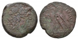 The Ptolemies, Cyprus Bronze circa 181-145, Æ 34mm., 27.41g. Diademed head of Zeus Ammon right. Rev PTOLEMAIOY BAΣILEΩS Two eagles standing left on th...