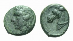 Sicily, Tyndaris Bronze 276-253, Æ 13.5mm., 2.01g. Laureate head of Apollo left Rev. Head of horse left. Calciati 3. SNG München 1580.

Rare. Green ...