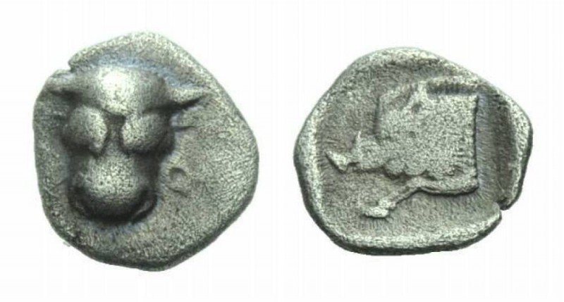 Phocis, Federal Coinage Obol 485-480, AR 10mm., 0.85g. Frontal bull’s head. Rev....