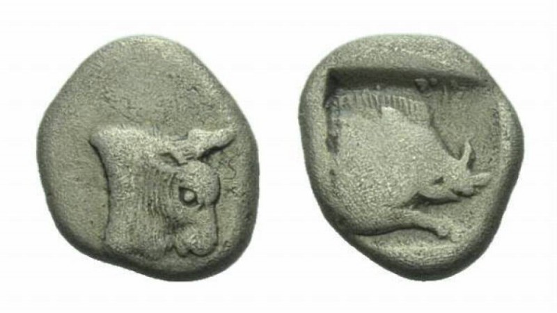 Phocis, Federal Coinage Obol Liala 480-478, AR 9.5mm., 0.77g. A bull’s head in p...