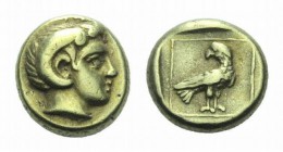Lesbos, Mytilene Hecte 337-326, EL 10.5mm., 2.53g. Head of Apollo Karneios with horn of Ammon r. Rev. Eagle standing right, head reverted, within line...