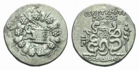 C. Septimius T.f., Proconsul. Cistophoric Tetradrachm circa Pergamon 57-55, AR 25mm., 11.93g. Cista mystica within ivy wreath. Rev. C. SEPTVMI. T. F. ...
