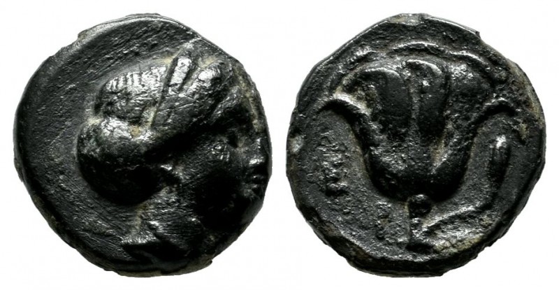 Caria. Rhodes. Circa 338-304 BC. AE (10mm, 1.40g). Head of nymph Rhodos right / ...