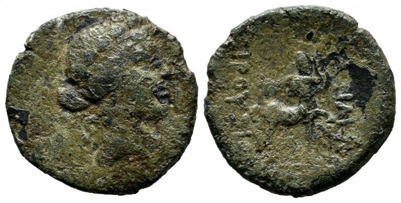 Kings of Bithynia. Prusias II Cynegos, 182-149 BC. Æ (20mm, 3.38g). Draped bust ...
