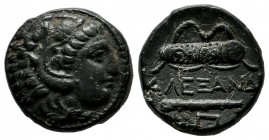 Kings Of Macedon, Alexander III 'the Great'. Circa 336-323 BC. AE (17mm, 5.00g). Uncertain Macedonian mint, lifetime issue. Head of Herakles right, we...