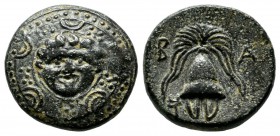 Kings of Macedon. Philip III Arrhidaios, 323-317 BC. (15mm, 3.84g), Salamis mint. Macedonian shield with facing gorgoneion on boss. / B A Macedonian h...