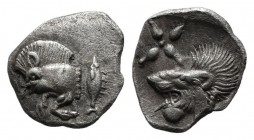 Mysia, Kyzikos, circa 5th century. AR hemiobol (9mm, 0.33g). Forepart of boar to left / Head of lion to left within incuse square, above floral star. ...