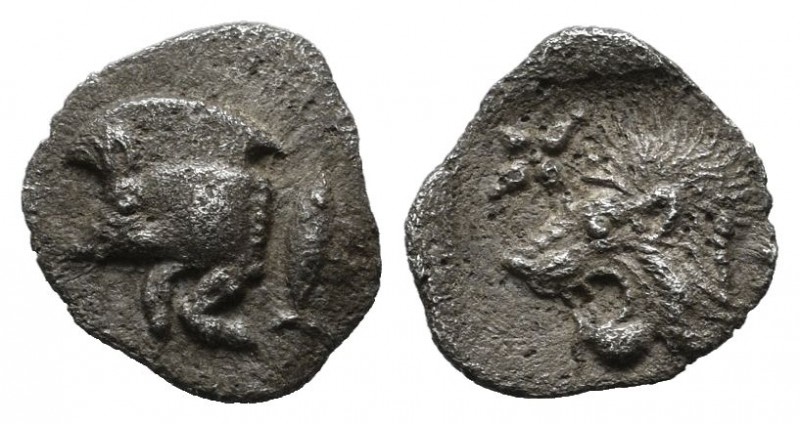 Mysia, Kyzikos. C450-400 BC. AR Hemiobol (9mm, 0.38g). Forepart of boar left; to...