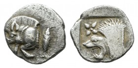 Mysia, Kyzikos. ca.450-400 BC. AR Hemiobol (9mm, 0.40g). Forepart of boar left; to right, tunny upward / Head of roaring lion left; star to upper left...