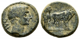 Macedon, Philippi. Augustus, 27 BC-AD. AE (18mm, 5.25g). AVG, bare head right / Two priests plowing with oxen right. RPC 1656; SNG Cop 282.