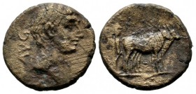 Macedon, Uncertain (Philippi?). Augustus, 27 BC-AD 14. Æ (19mm, 4.01g). AVG. Bare head right / Two pontiffs driving yoke of oxen right, plowing pomeri...