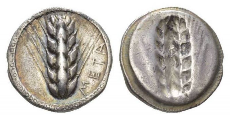 Lucania, Metapontum Nomos circa 540-520, AR 24mm., 7.83g. Corn ear. Rev. The sam...