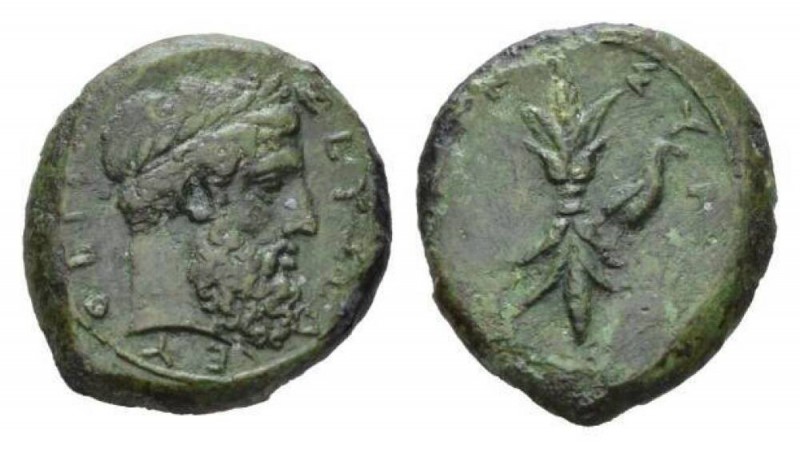 Sicily, Syracuse Hemilitron Circa 344-339, Æ 23mm., 10.90g. ZEYΣ EΛEYΘEPIOΣ Laur...