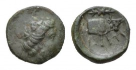 Euboea, Histiaea Bronze Circa 4th-3rd centuries, Æ 14mm., 2.21g. Head of the nymph Histiaia right. Rev. Forepart of Bull right; thunderbolt above.

...