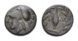 Aeolis, Elaia bronze Circa 340-300, Æ 10mm., 1.30g. Helmeted head of Athena left. Rev. Grain seed within olive wreath. SNG Copenhagen 169-70; SNG von ...