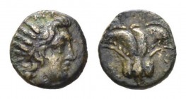 Caria, Rhodes Bronze II cent. BC, Æ 12mm., 1.40g. Radiate head Helios r. Rev. Rose. Ashton, The Coinage of Rhodes 332.

Brown tone and good very fin...