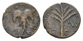Judaea, Second revolt, Bar-Kokhba war, 132-135. Middle bronze Circa 133-134, Æ 25.5mm., 8.35g. Palm tree. Rev. Wine leaf on tendril. Mildenberg 49. He...