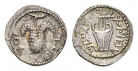 Judaea, Bar Kokhba Revolt, 132 - 135 Drachm Circa 134-135, AR 19.5mm., 3.20g. Paleo-Hebrew "Simon", Bunch of grapes in three lobes hanging from branch...