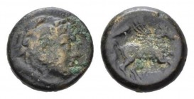 Double bronze circa 230-226, Æ 19.5mm., 8.29g. Head of Hercules r., wearing lion's skin. Rev. Pegasus r.; above, club and below, ROMA. Sydenham 7. Cra...