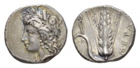 Lucania, Metapontum Nomos 330-290, AR 21.5mm., 7.88g. Head of Demeter l., wearing earring and barley wreath. Rev. Ear of barley, with leaf to l., on w...