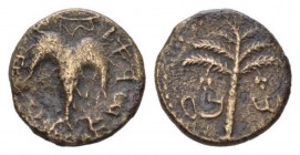 Judaea, Bar-Kokhba war, 132-135. Middle bronze 133-134, Æ 23.5mm., 10.07g. Palm tree. Rev. Wine leaf on tendril. Mildenberg 49. Hendin 708.

Brown t...