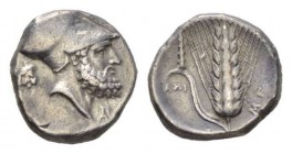 Lucania, Metapontum Nomos 340-330, AR 18.5mm., 7.81g. Head of Leukippos r., wearing Corinthian helmet; behind, head of lion r., in front, monogram. Re...