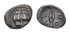 Sicily, Leontini Obol circa 460-450, AR 10mm., 0.68g. Head of lion facing. Rev. Ear of barley. Boehringer, Studies Price 19 var. SNG ANS 213.

Toned...