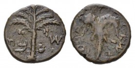 Judaea, Bar-Kokhba war, 132-135 Middle bronze 133-134, Æ 23.5mm., 8.97g. Palm tree. Rev. Wine leaf on tendril. Mildenberg 49. Hendin 708.
 
 Brown t...