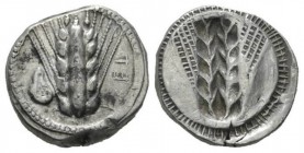 Lucania, Metapontum Nomos 470-440, AR 20mm., 8.08g. Ear of barley; in field l., ram's head. Rev. Same type incuse, but without ram's head. Noe-Johnsto...