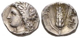 Lucania, Metapontum Nomos 330-290, AR 20mm., 7.95g. Wreathed head of Demeter l. Rev META Barley ear of seven grains with leaf to left; above leaf, hay...