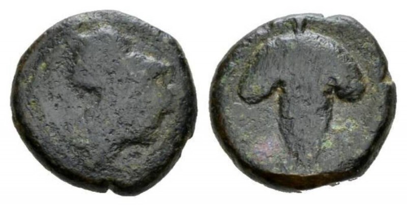 Locris, Locris Opuntii Bronze First quarter of the III cent. BC, Æ 12mm., 3.05g....